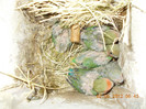 Picture 003