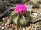 DSCF0714