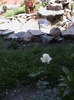 DSC01463