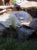 DSC01464