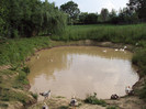 DSC02654 - Copy
