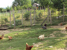 DSC02668 - Copy