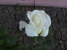 DSC01477