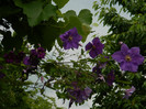 DSCN7464
