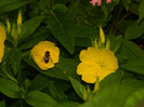 DSCN7467