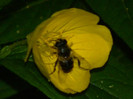 DSCN7469