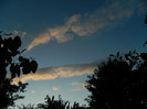 DSCN7491