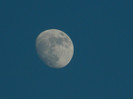 DSCN7496