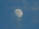 DSCN7505