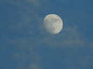DSCN7506