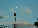 DSCN7509