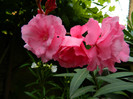DSCN7569