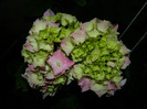 DSCN7571