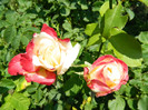 DSCN2185