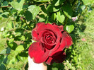 DSCN2233
