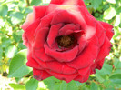 DSCN2253