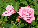 DSCN2262