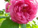 DSCN2321