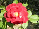 DSCN2325