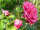 DSCN2335