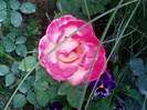P1010034