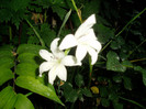 P1010039