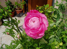 P1010048