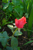 my pictures 049