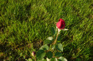 my pictures 051
