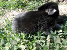 Photo0505