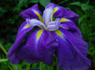 2011 003
