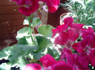 Picture 047