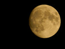 DSCN7618