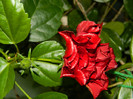 DSCN7657