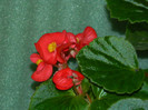 DSCN7660