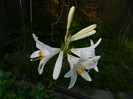 DSCN7672