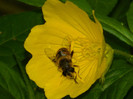 DSCN7696