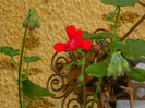 DSCN7712
