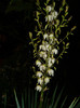 DSCN7748