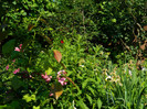 DSCN7779