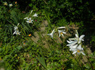 DSCN7782