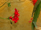 DSCN7836
