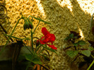DSCN7837