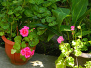 DSCN7844