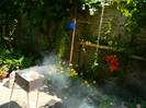 DSCN7849
