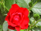 IMGA0167