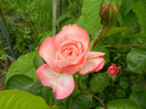 mai 2011