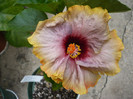 P1140389
