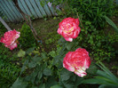 P1140418
