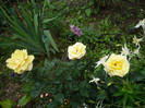 P1140419
